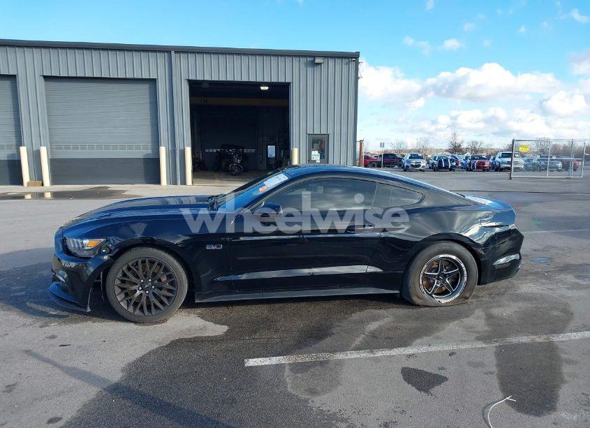 Photo 14 of 2017 Ford Mustang GT (VIN 1FA6P8CF4H5303064)