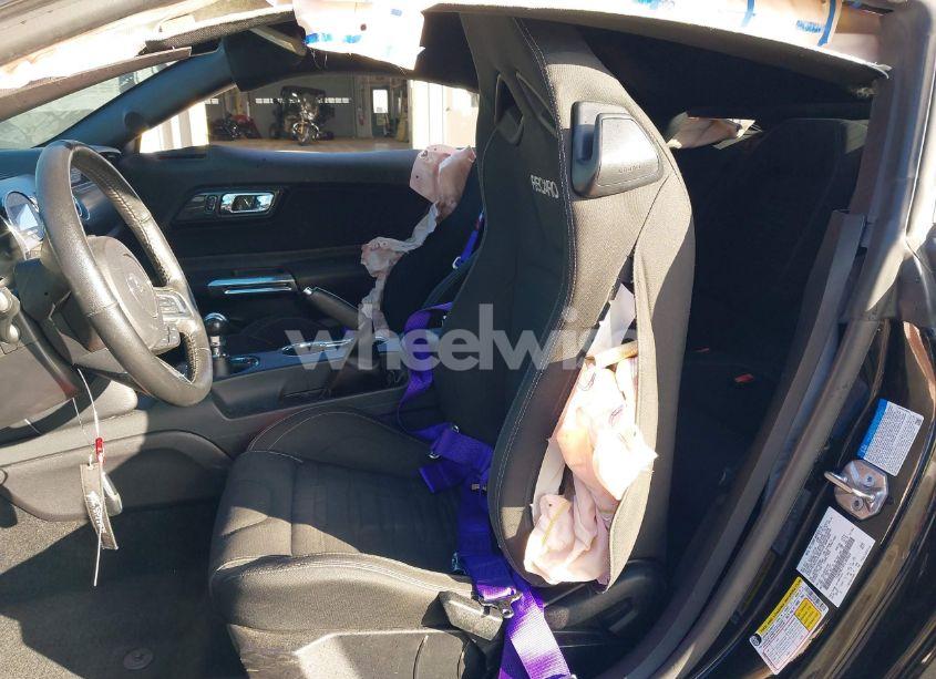 Photo 8 of 2017 Ford Mustang GT (VIN 1FA6P8CF4H5303064)