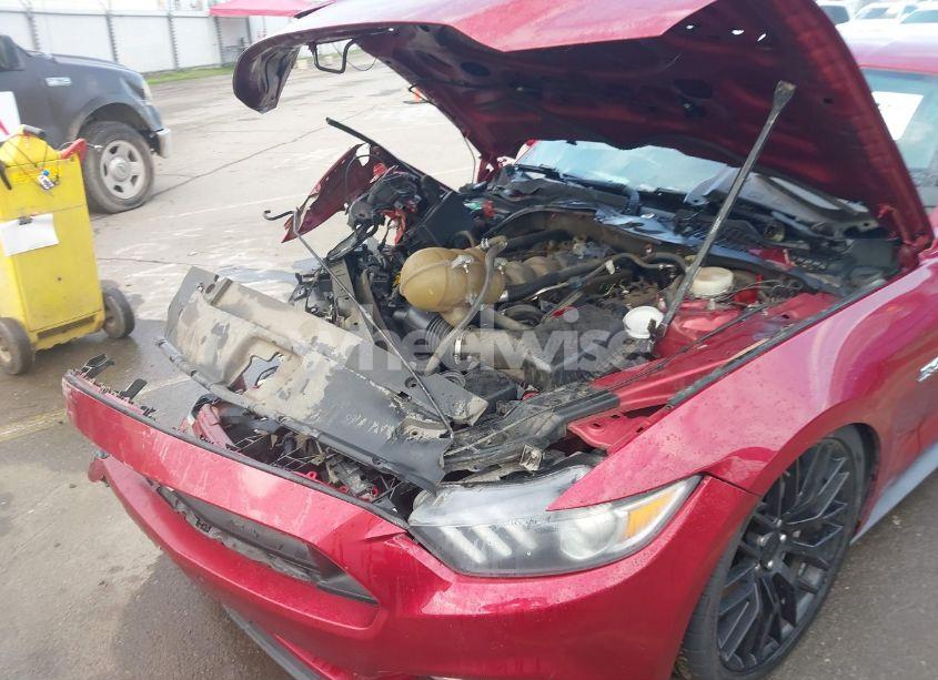 Photo 18 of 2017 Ford Mustang GT (VIN 1FA6P8CF4H5334041)