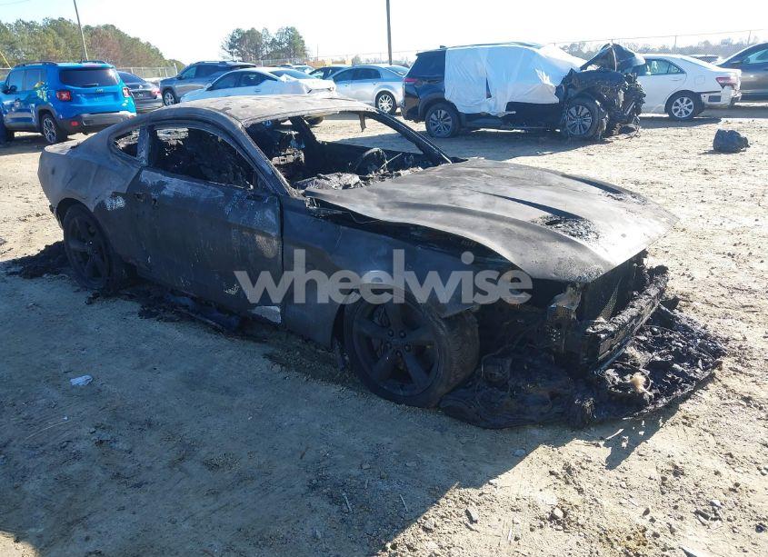 2020 Ford Mustang GT FASTBACK (VIN 1FA6P8CF4L5188958) main photo