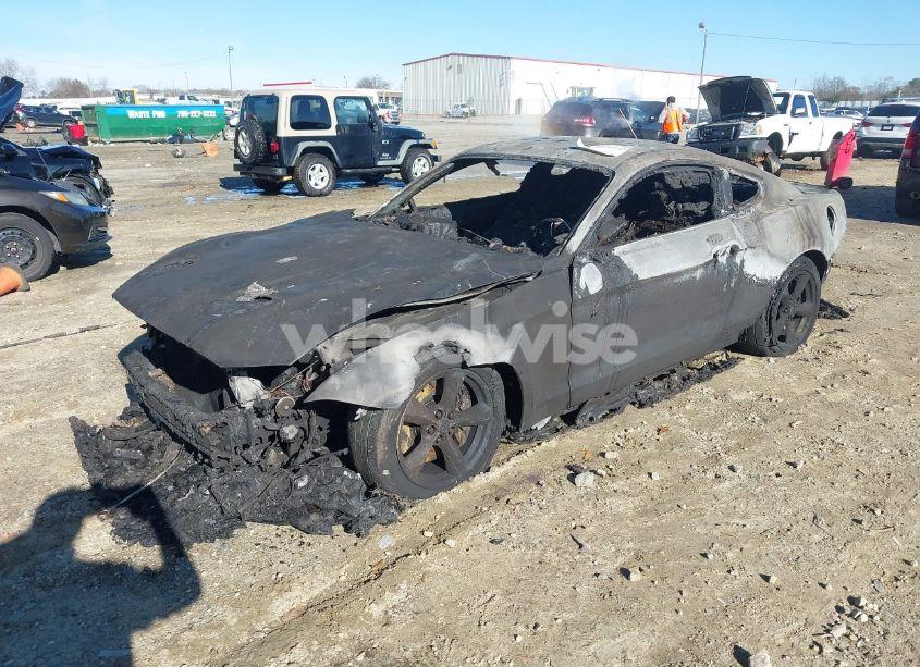 Photo 2 of 2020 Ford Mustang GT FASTBACK (VIN 1FA6P8CF4L5188958)