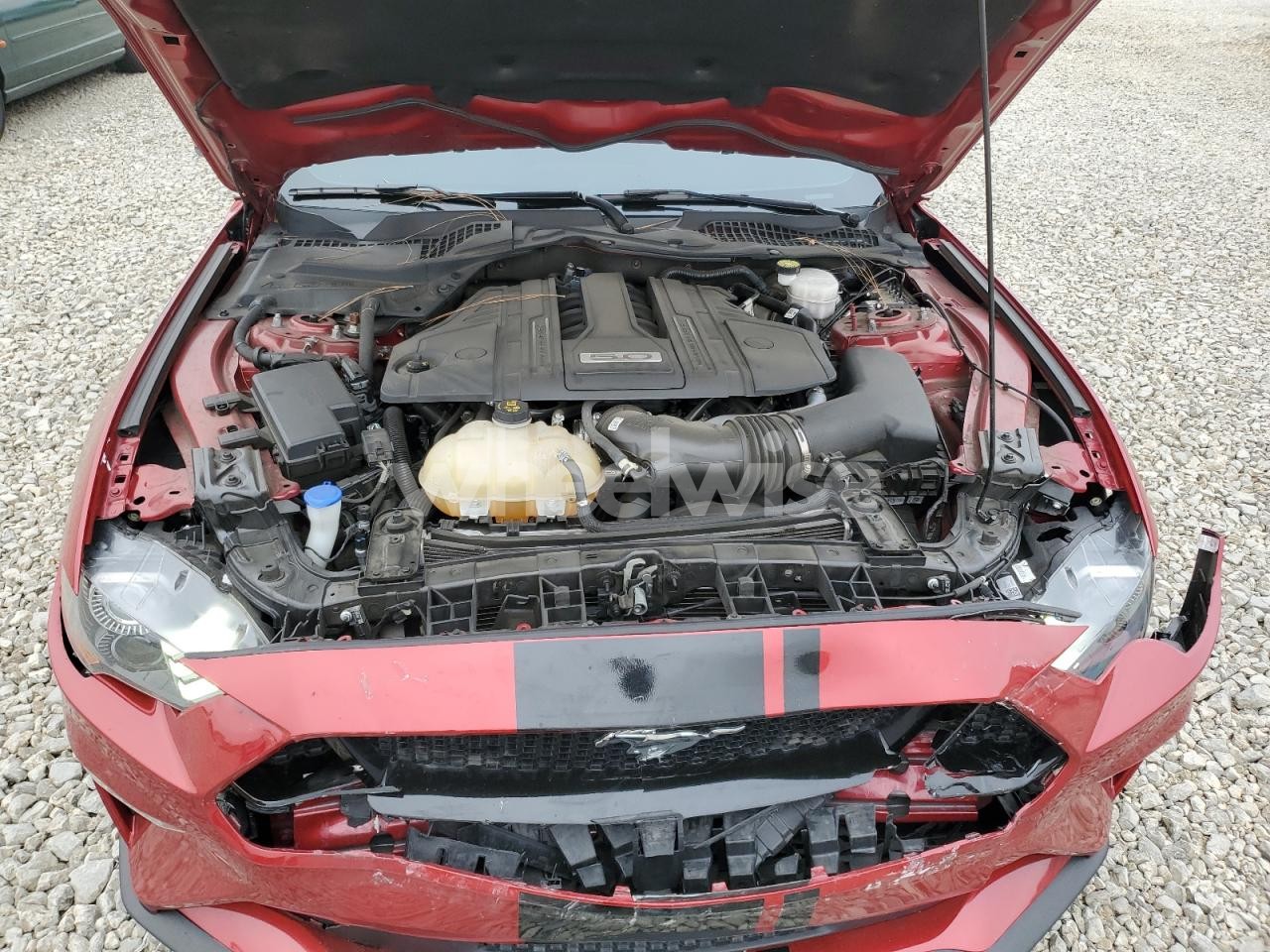 Photo 11 of 2021 FORD MUSTANG GT (VIN 1FA6P8CF4M5152995)