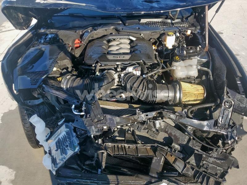 Photo 6 of 2024 FORD MUSTANG GT N/A (VIN 1FA6P8CF4R5417700)