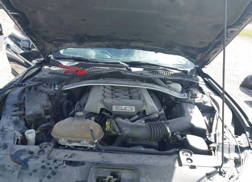 Photo 10 of 2015 Ford Mustang GT PREMIUM (VIN 1FA6P8CF5F5305855)