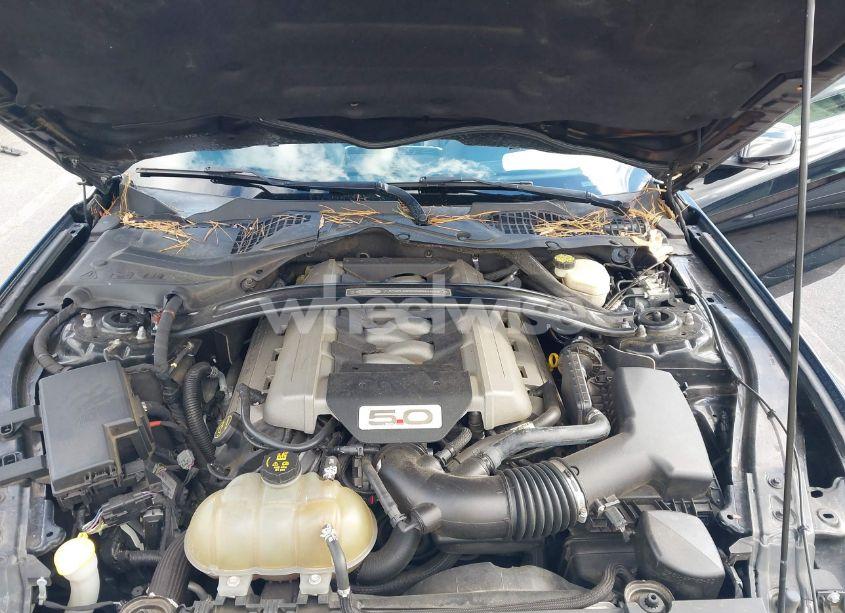 Photo 10 of 2016 Ford Mustang GT PREMIUM (VIN 1FA6P8CF5G5270817)