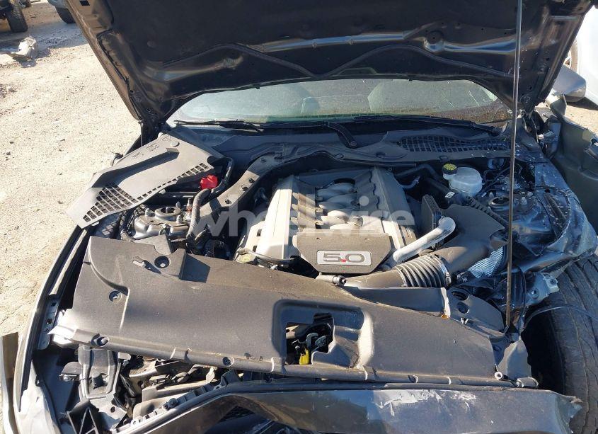 Photo 10 of 2017 Ford Mustang GT (VIN 1FA6P8CF5H5275825)