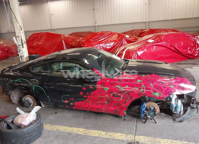 Photo 14 of 2017 Ford Mustang GT PREMIUM (VIN 1FA6P8CF5H5281690)