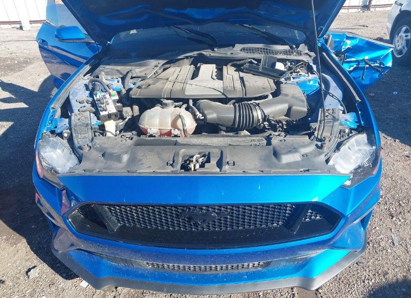 Photo 10 of 2019 Ford Mustang GT (VIN 1FA6P8CF5K5117590)