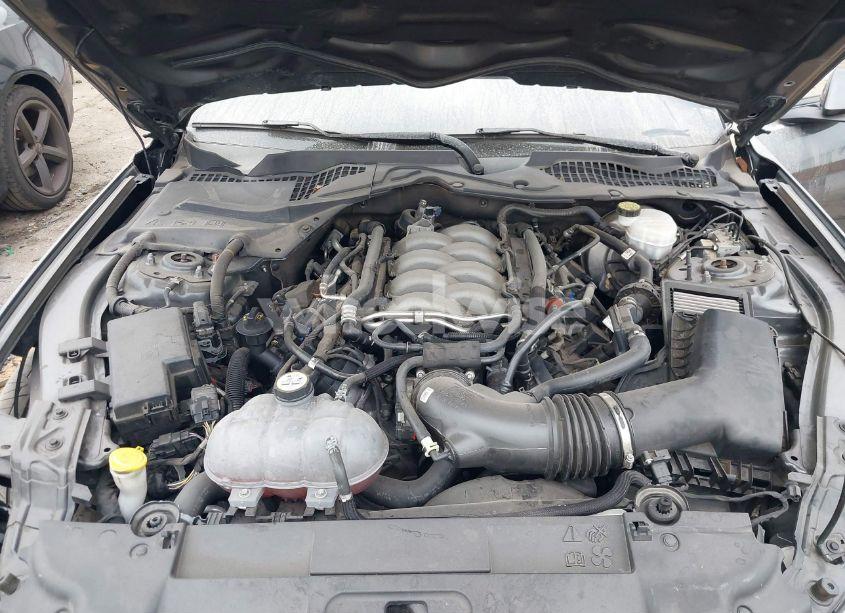 Photo 10 of 2019 Ford Mustang GT PREMIUM (VIN 1FA6P8CF5K5132235)