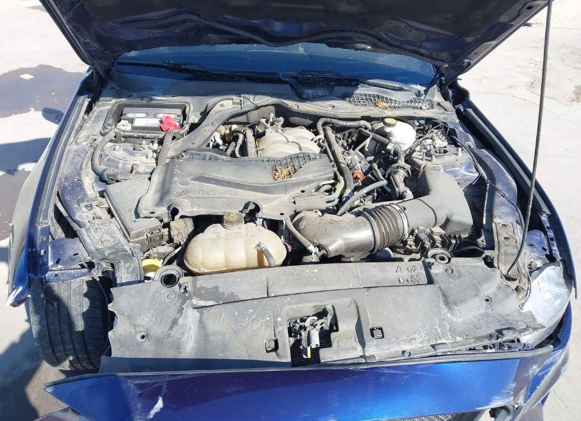 Photo 10 of 2019 Ford Mustang GT PREMIUM (VIN 1FA6P8CF5K5166207)