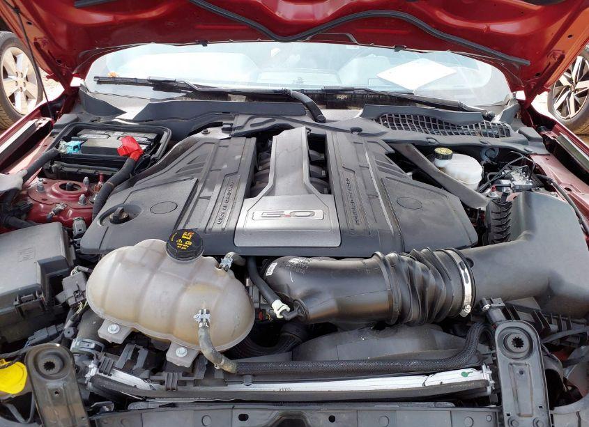 Photo 10 of 2019 Ford Mustang GT PREMIUM (VIN 1FA6P8CF5K5173500)