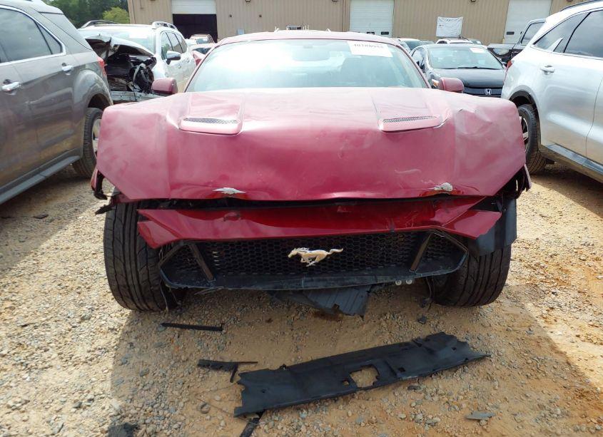 Photo 13 of 2019 Ford Mustang GT PREMIUM (VIN 1FA6P8CF5K5173500)