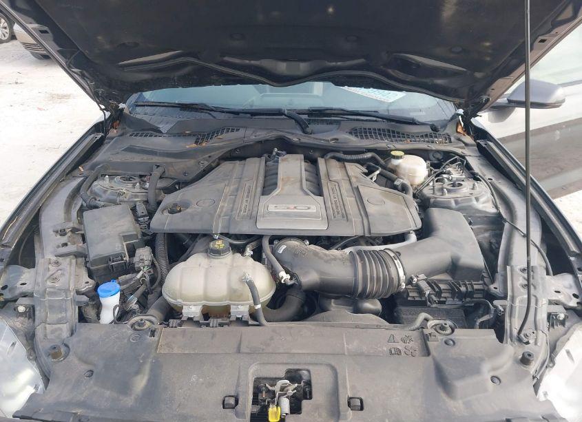 Photo 10 of 2020 Ford Mustang GT PREMIUM (VIN 1FA6P8CF5L5163177)