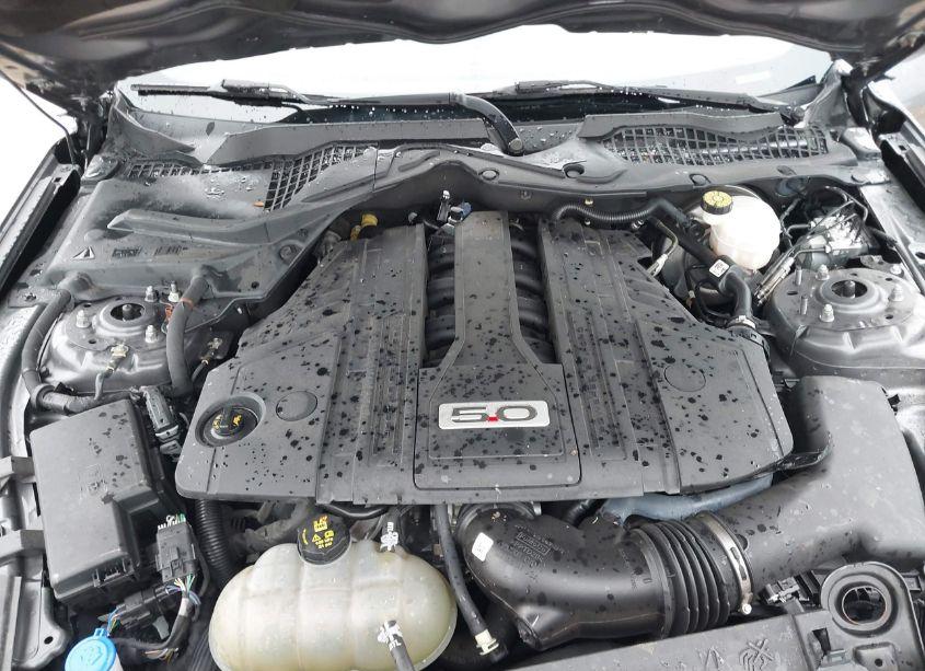 Photo 10 of 2021 Ford Mustang GT FASTBACK (VIN 1FA6P8CF5M5127068)