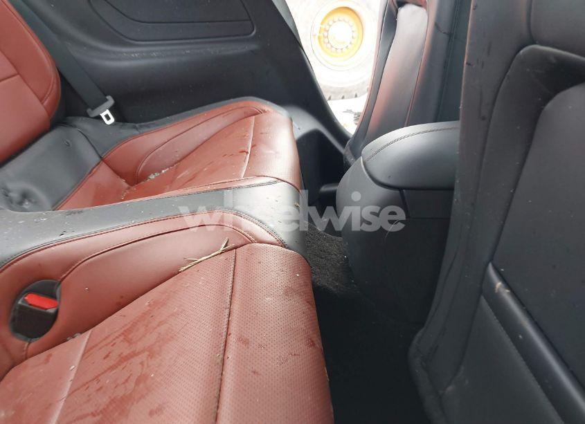 Photo 8 of 2024 Ford Mustang GT PREMIUM FASTBACK (VIN 1FA6P8CF5R5401330)