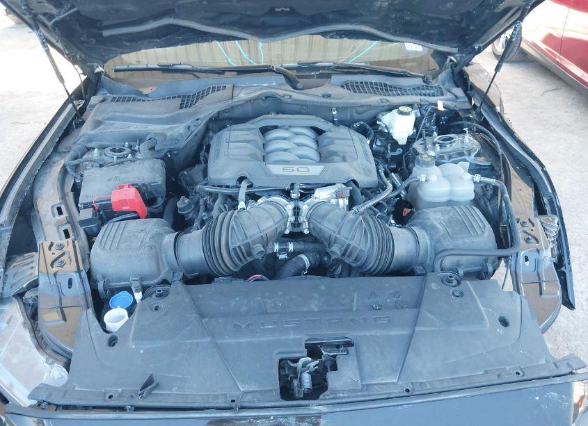 Photo 10 of 2024 Ford Mustang GT PREMIUM (VIN 1FA6P8CF5R5402896)