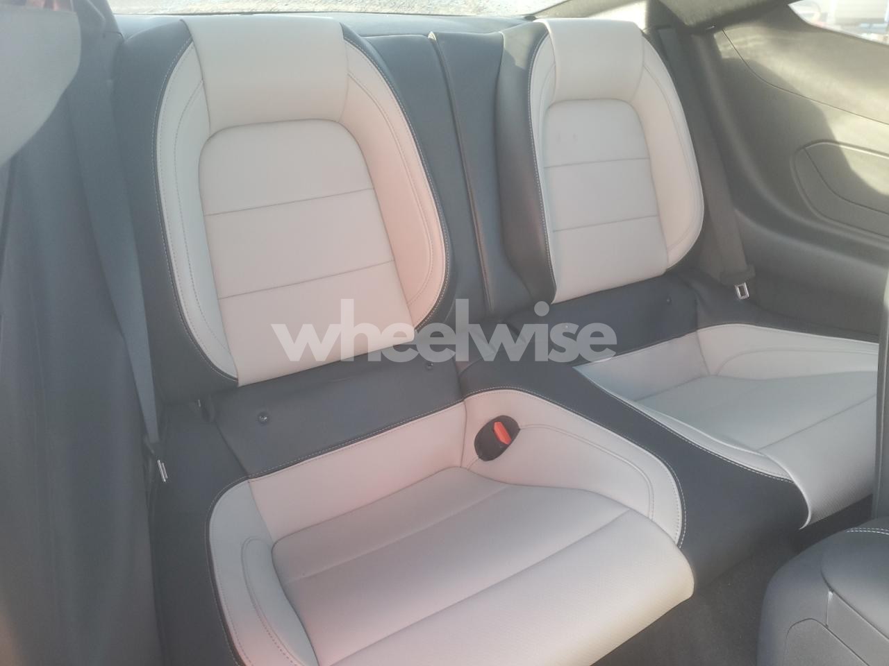 Photo 10 of 2024 FORD MUSTANG GT (VIN 1FA6P8CF5R5404969)