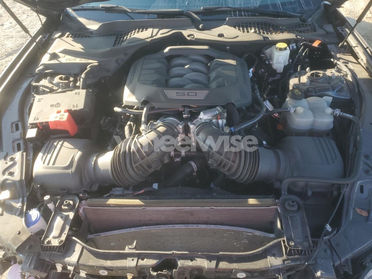 Photo 11 of 2024 FORD MUSTANG GT (VIN 1FA6P8CF5R5404969)