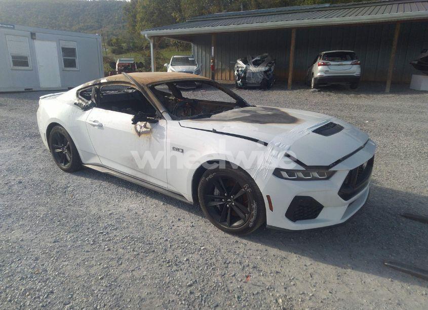 2024 Ford Mustang GT FASTBACK (VIN 1FA6P8CF5R5412439) main photo