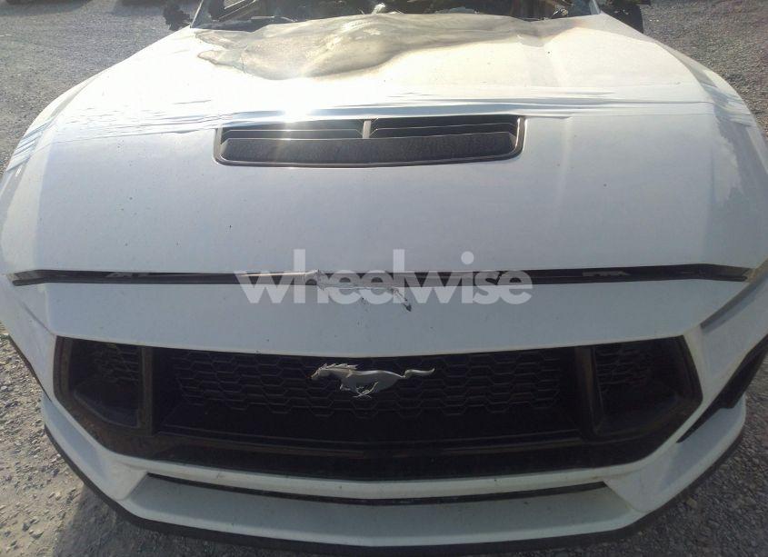 Photo 12 of 2024 Ford Mustang GT FASTBACK (VIN 1FA6P8CF5R5412439)