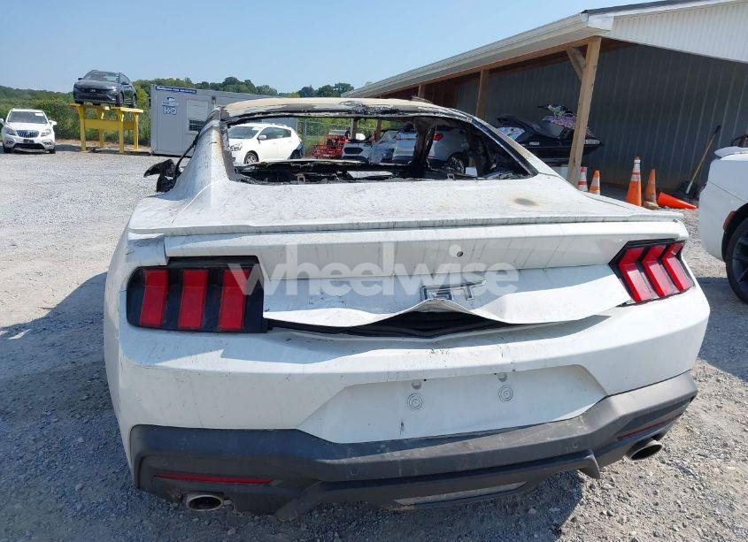 Photo 13 of 2024 Ford Mustang GT FASTBACK (VIN 1FA6P8CF5R5412439)