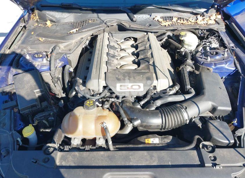 Photo 10 of 2015 Ford Mustang GT (VIN 1FA6P8CF6F5423655)