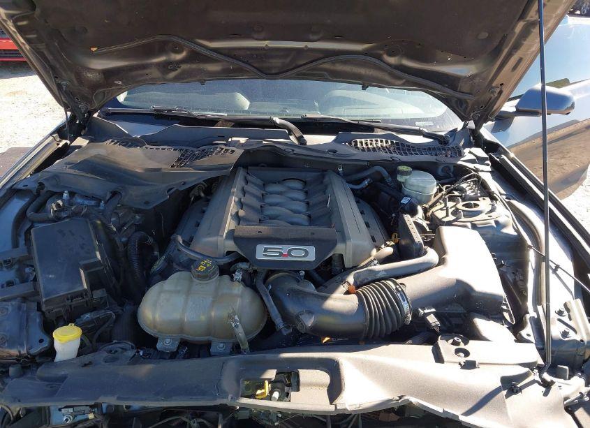 Photo 10 of 2017 Ford Mustang GT (VIN 1FA6P8CF6H5244423)