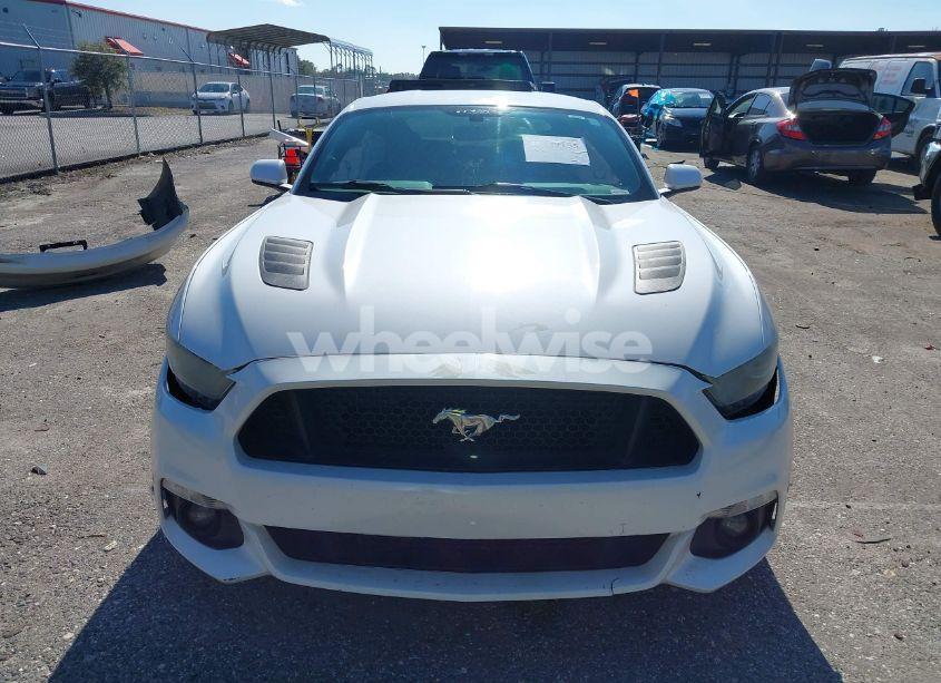 Photo 13 of 2017 Ford Mustang GT (VIN 1FA6P8CF6H5270892)