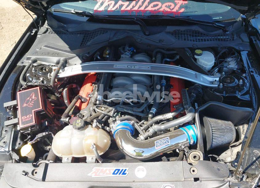 Photo 10 of 2017 Ford Mustang GT (VIN 1FA6P8CF6H5281648)