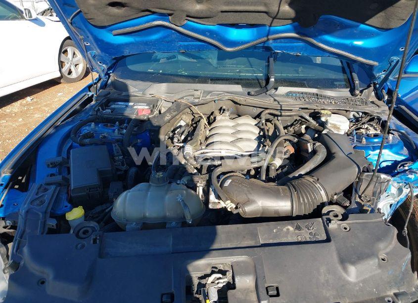 Photo 10 of 2019 Ford Mustang GT (VIN 1FA6P8CF6K5125763)