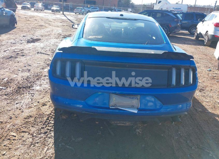Photo 16 of 2019 Ford Mustang GT (VIN 1FA6P8CF6K5125763)