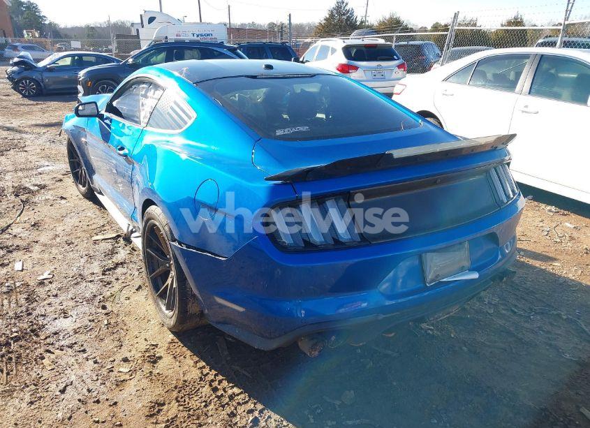 Photo 3 of 2019 Ford Mustang GT (VIN 1FA6P8CF6K5125763)