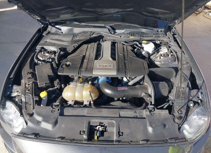 Photo 10 of 2019 Ford Mustang GT (VIN 1FA6P8CF6K5147052)