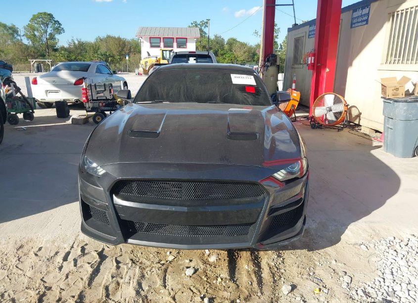 Photo 12 of 2019 Ford Mustang GT (VIN 1FA6P8CF6K5147052)