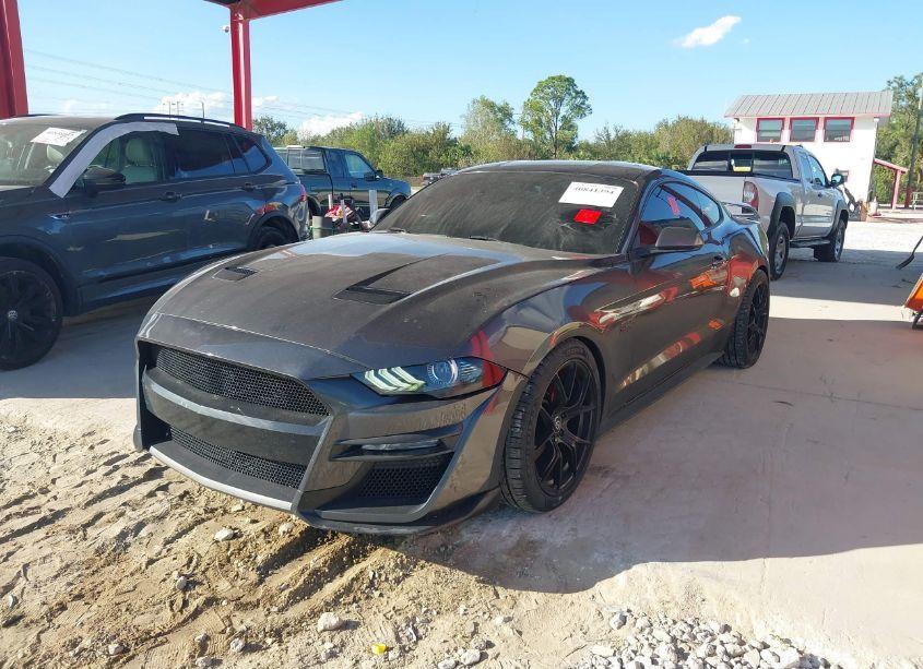 Photo 2 of 2019 Ford Mustang GT (VIN 1FA6P8CF6K5147052)