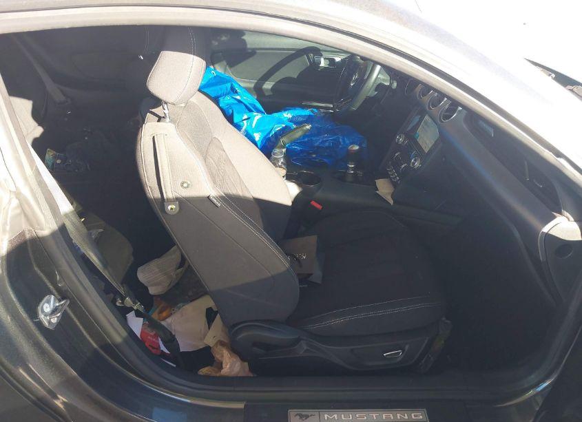 Photo 5 of 2019 Ford Mustang GT (VIN 1FA6P8CF6K5147052)