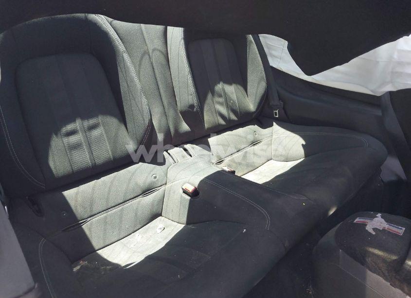 Photo 8 of 2019 Ford Mustang GT (VIN 1FA6P8CF6K5163459)