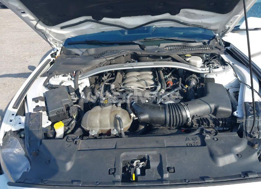 Photo 10 of 2019 Ford Mustang GT PREMIUM (VIN 1FA6P8CF6K5189284)