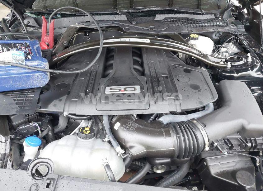 Photo 10 of 2021 Ford Mustang GT FASTBACK (VIN 1FA6P8CF6M5105340)