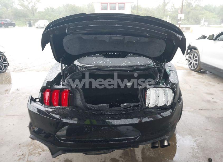 Photo 16 of 2021 Ford Mustang GT FASTBACK (VIN 1FA6P8CF6M5105340)