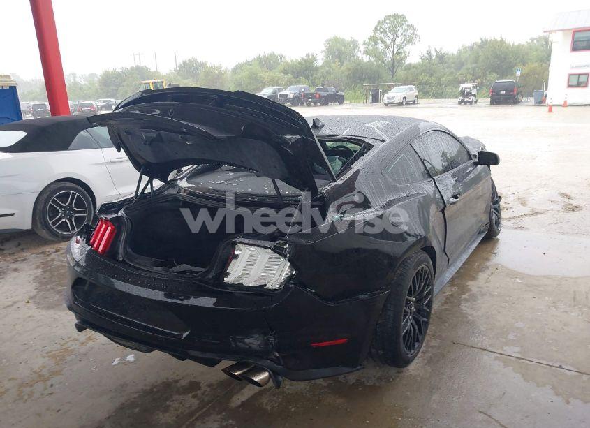 Photo 4 of 2021 Ford Mustang GT FASTBACK (VIN 1FA6P8CF6M5105340)