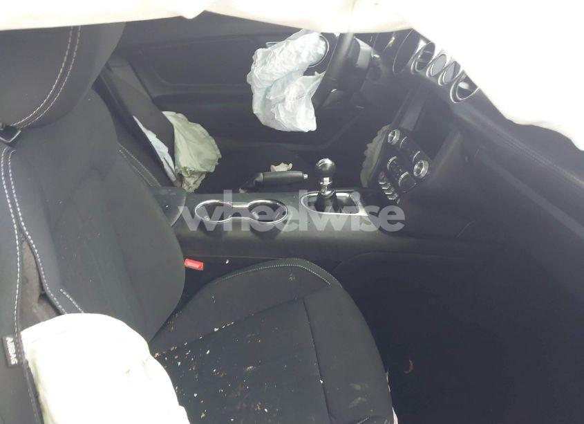 Photo 5 of 2021 Ford Mustang GT FASTBACK (VIN 1FA6P8CF6M5105340)