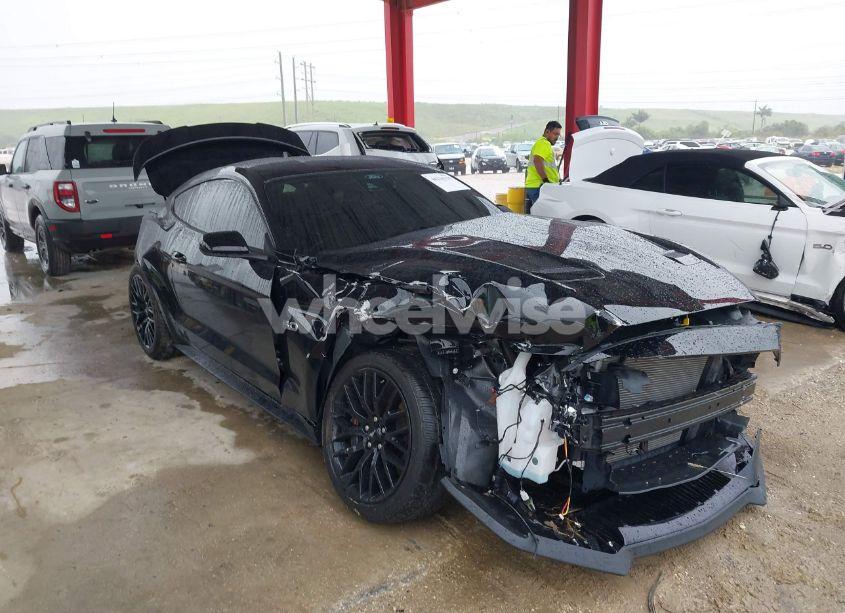 Photo 6 of 2021 Ford Mustang GT FASTBACK (VIN 1FA6P8CF6M5105340)