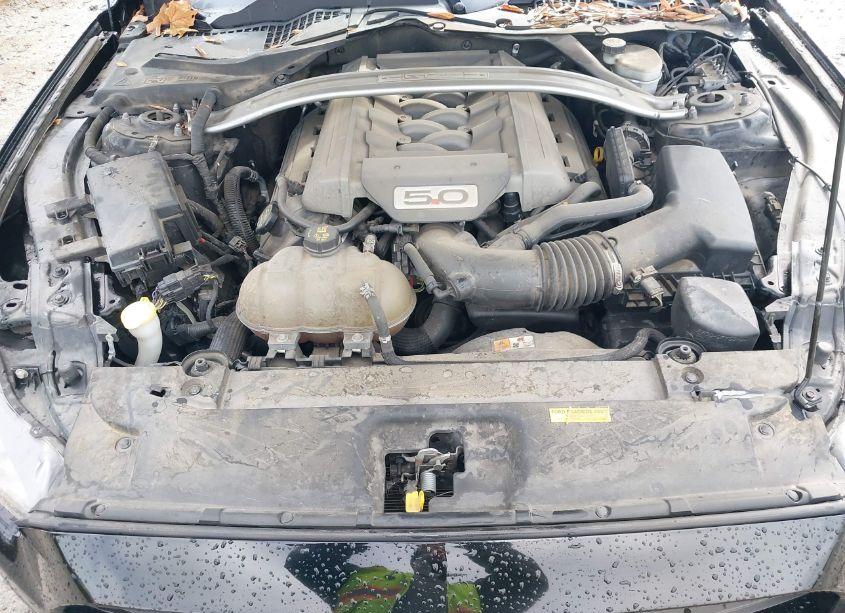 Photo 10 of 2017 Ford Mustang GT PREMIUM (VIN 1FA6P8CF7H5258962)