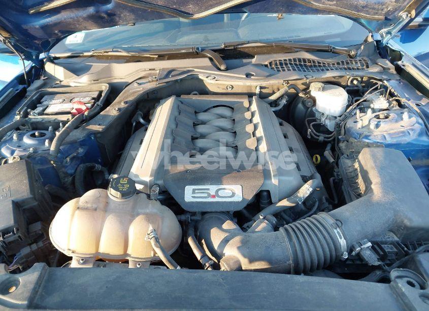 Photo 10 of 2017 Ford Mustang GT (VIN 1FA6P8CF7H5339749)