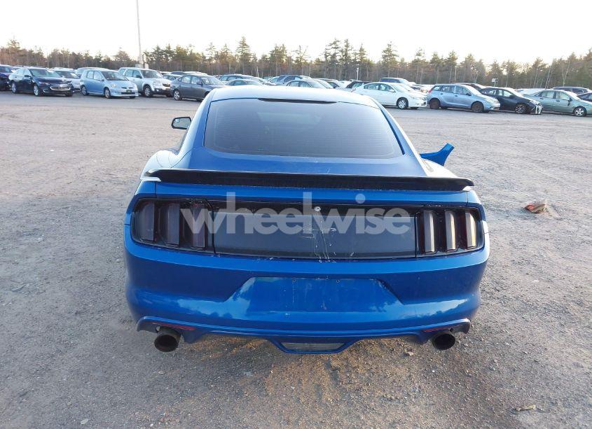 Photo 17 of 2017 Ford Mustang GT (VIN 1FA6P8CF7H5339749)