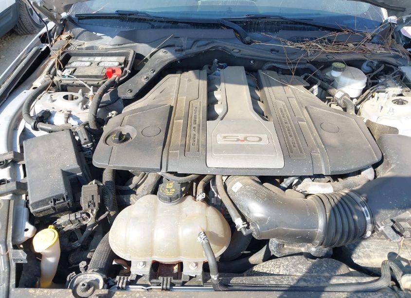 Photo 10 of 2018 Ford Mustang GT (VIN 1FA6P8CF7J5164991)