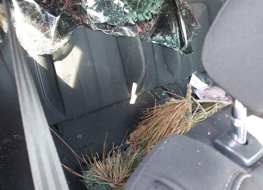 Photo 8 of 2018 Ford Mustang GT (VIN 1FA6P8CF7J5164991)