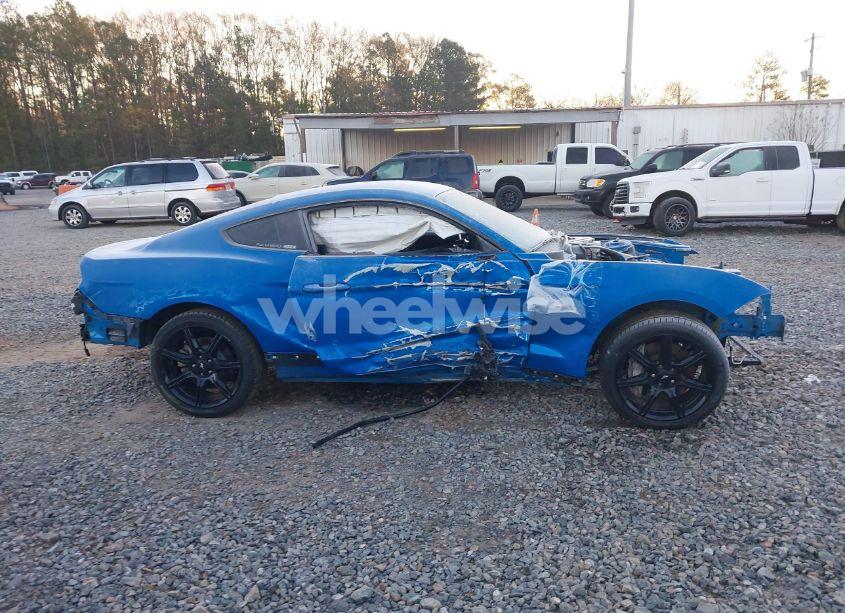 Photo 13 of 2019 Ford Mustang GT (VIN 1FA6P8CF7K5105506)