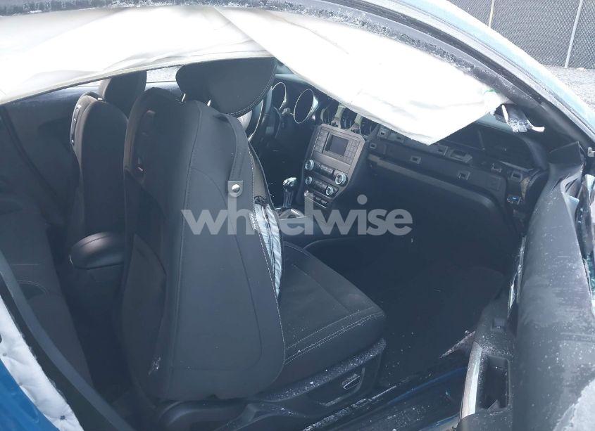 Photo 5 of 2019 Ford Mustang GT (VIN 1FA6P8CF7K5105506)